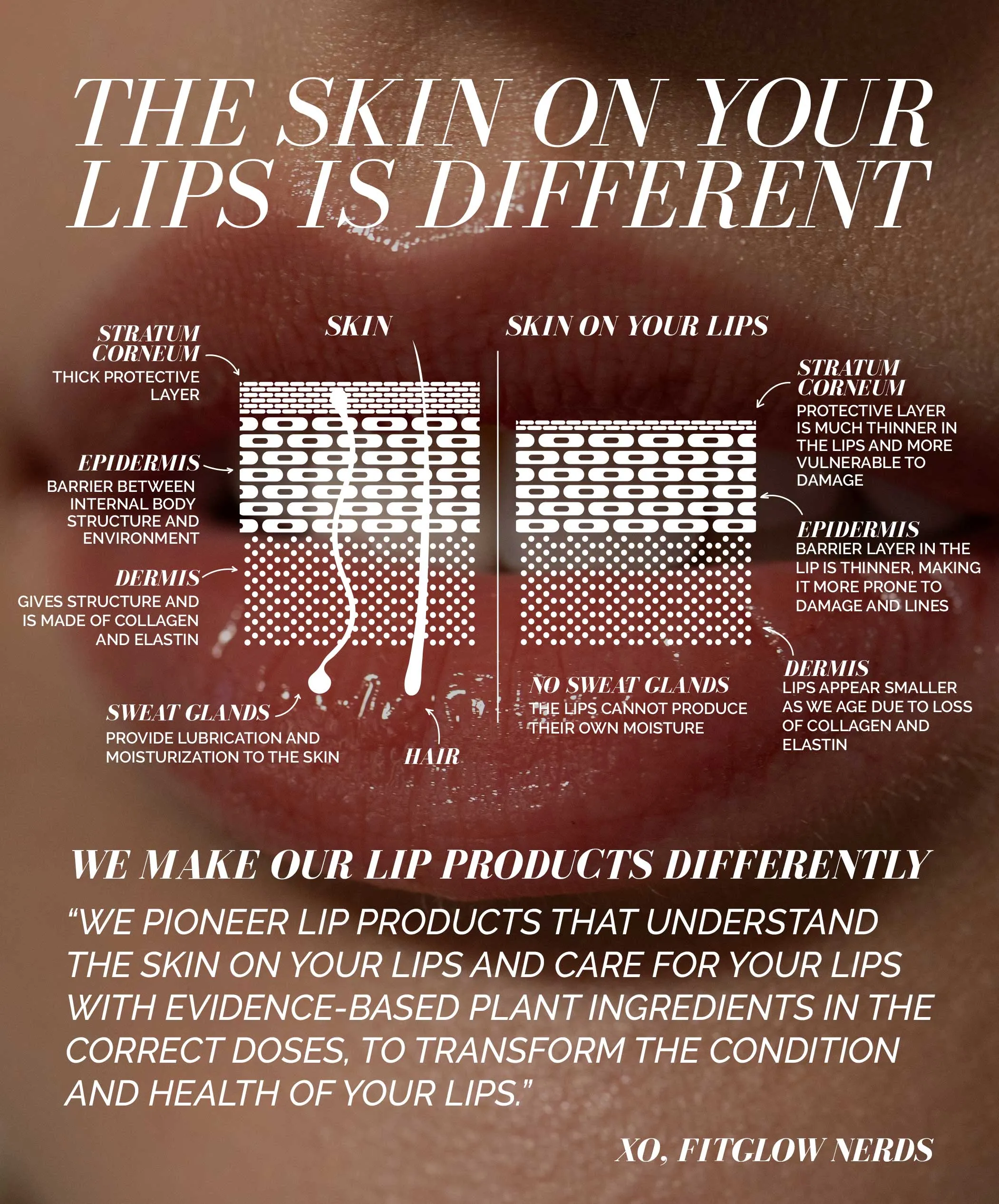 Build Your Own Lip Serum Trio