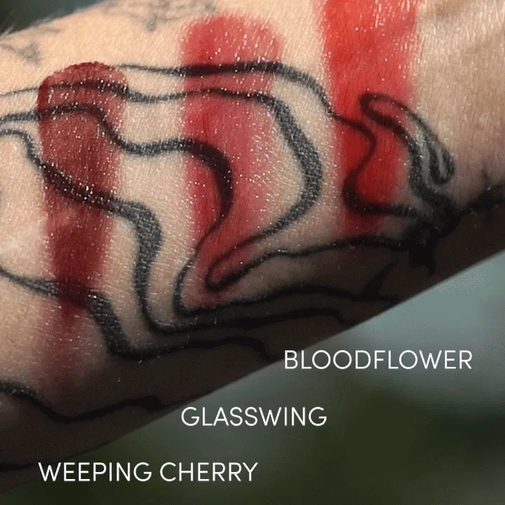 Color Set: The Hidden Trove Color Nectar Pigment Balm Spectrum (4 Shades)