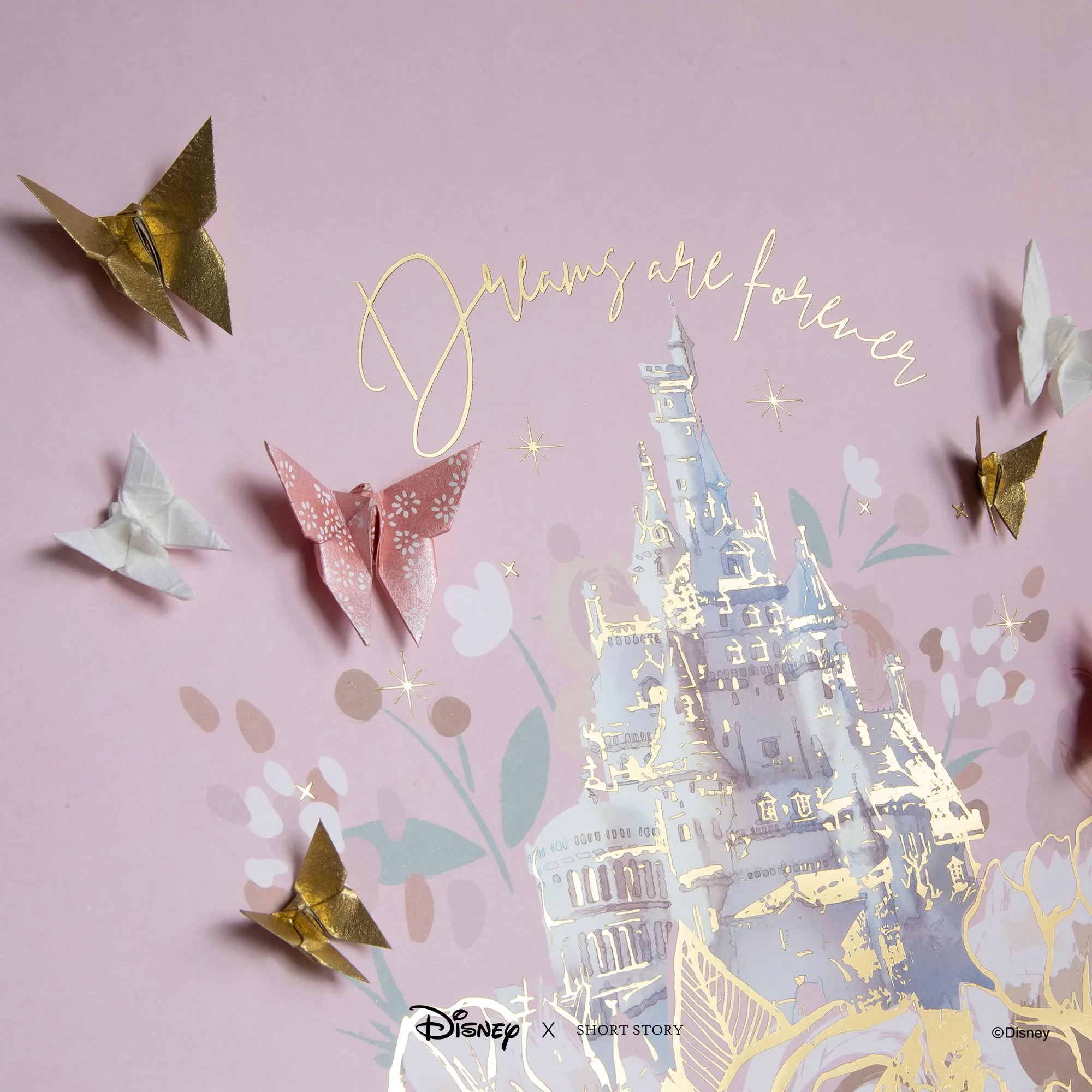 Disney Large Black Frame Castle II