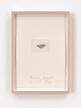 Jorinde Voigt, "Meditation Copenhagen II", 2019