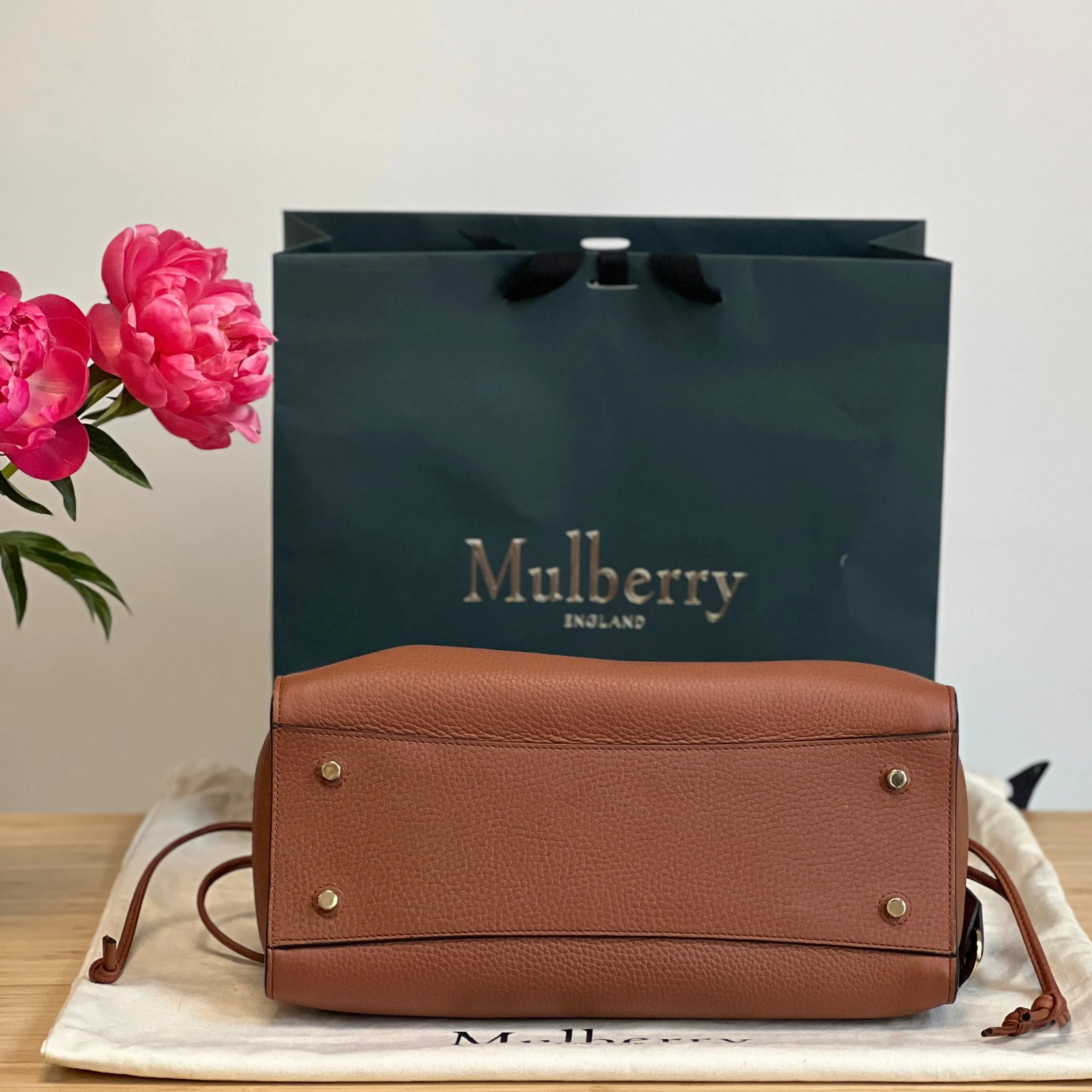 Mulberry Iris