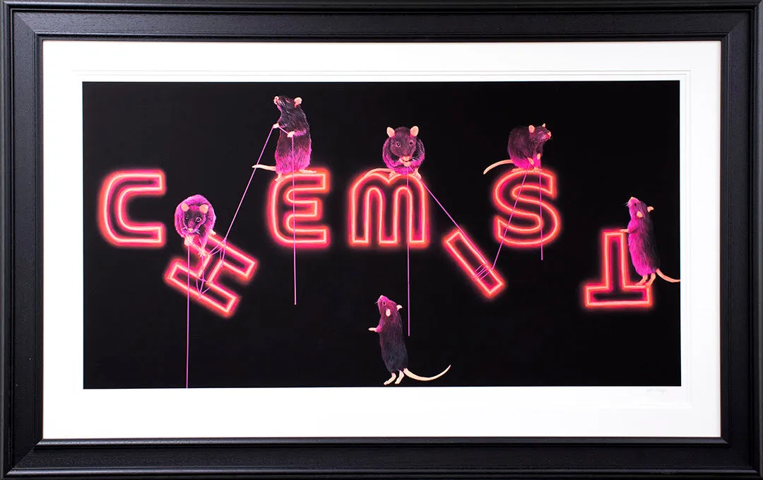 Rats Fixing The Chemist by Dean Martin