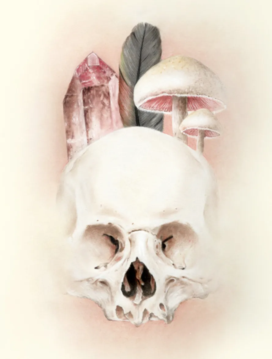 Stevie Giclee Print by Bec Winnel