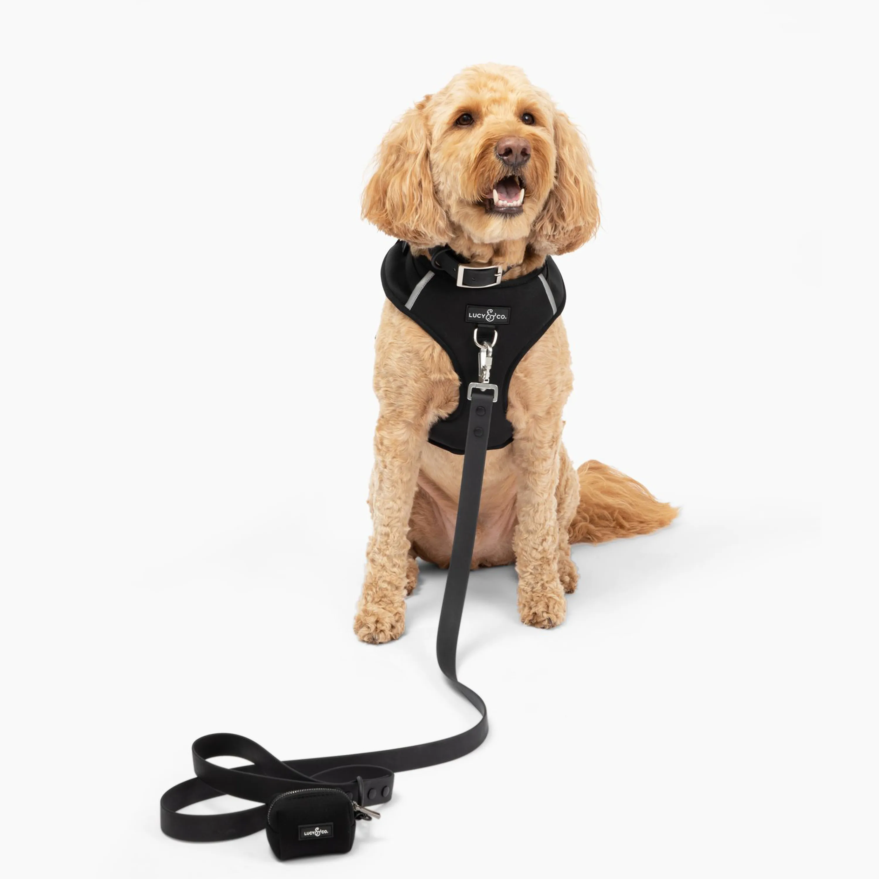 The Midnight No-Pull Harness