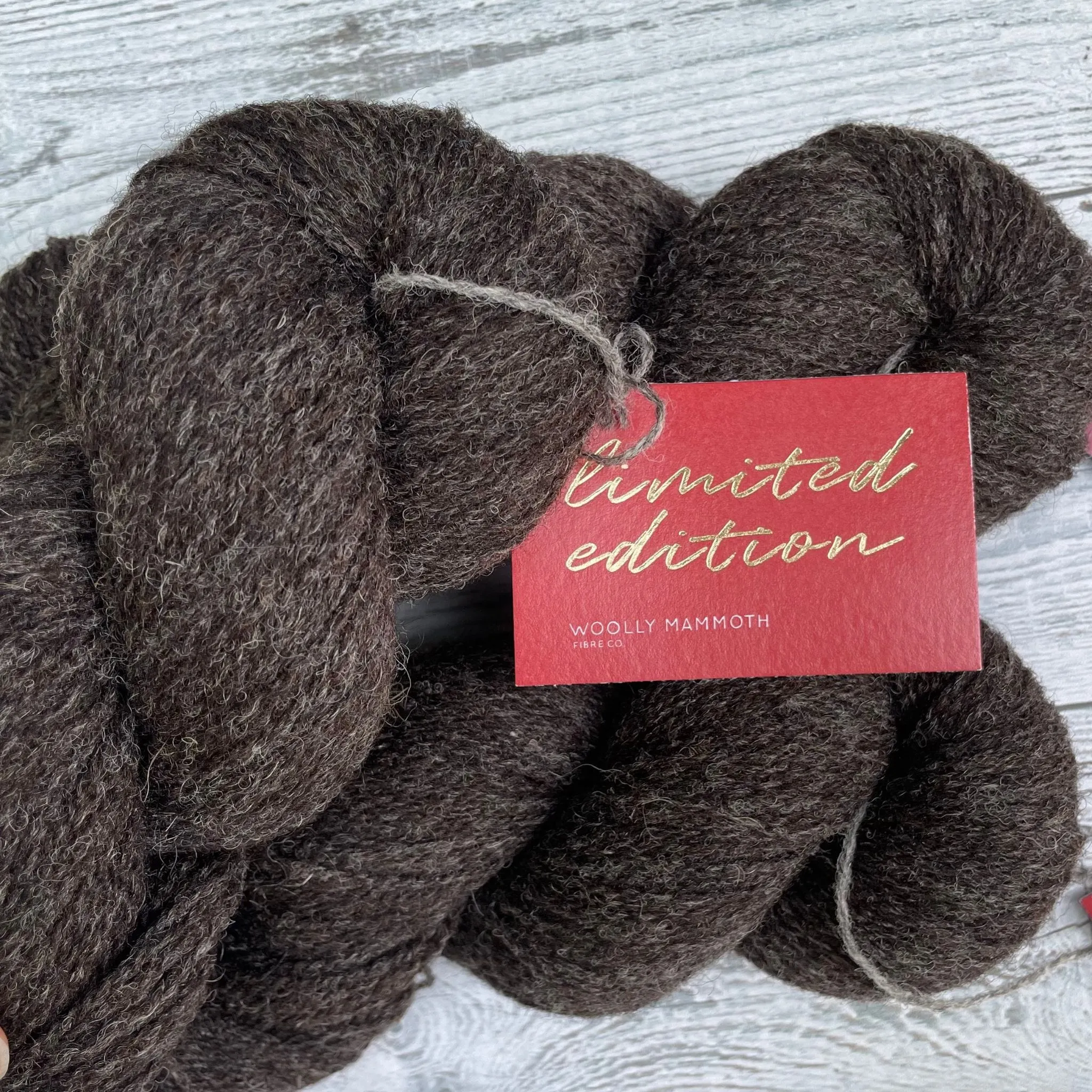 Zwartbles & Blue Texel 4ply Limited Edition